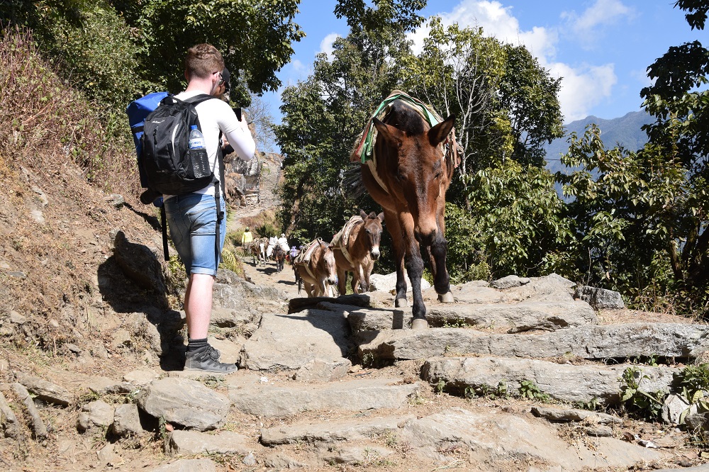Trekking in the Himalayas on a trip to Nepal with VoluntEars